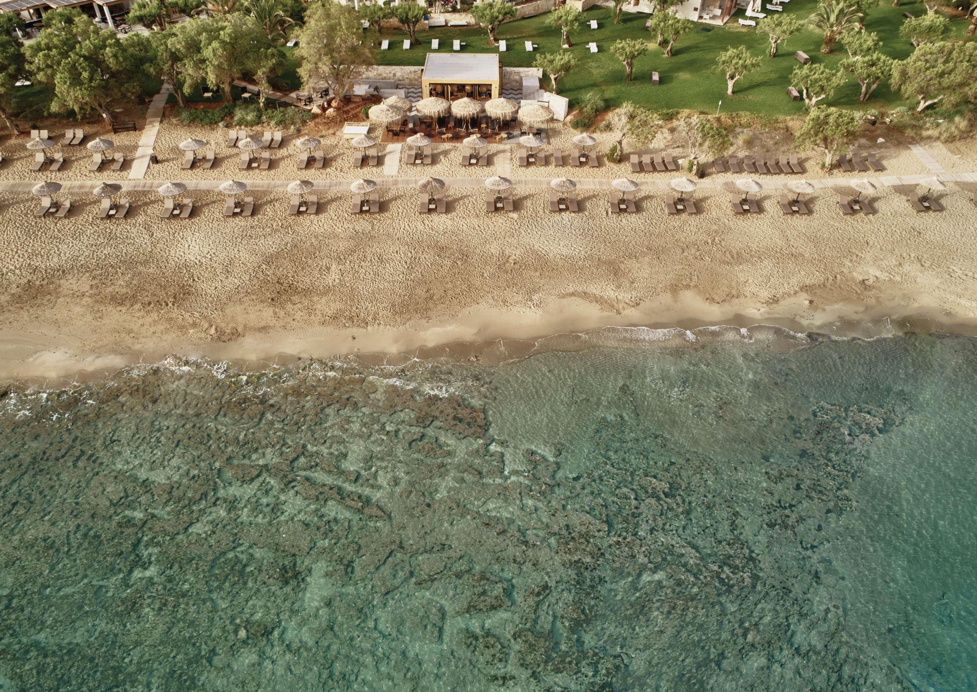 Phaea Cretan Malia, A Member Of Design Hotels Eksteriør bilde