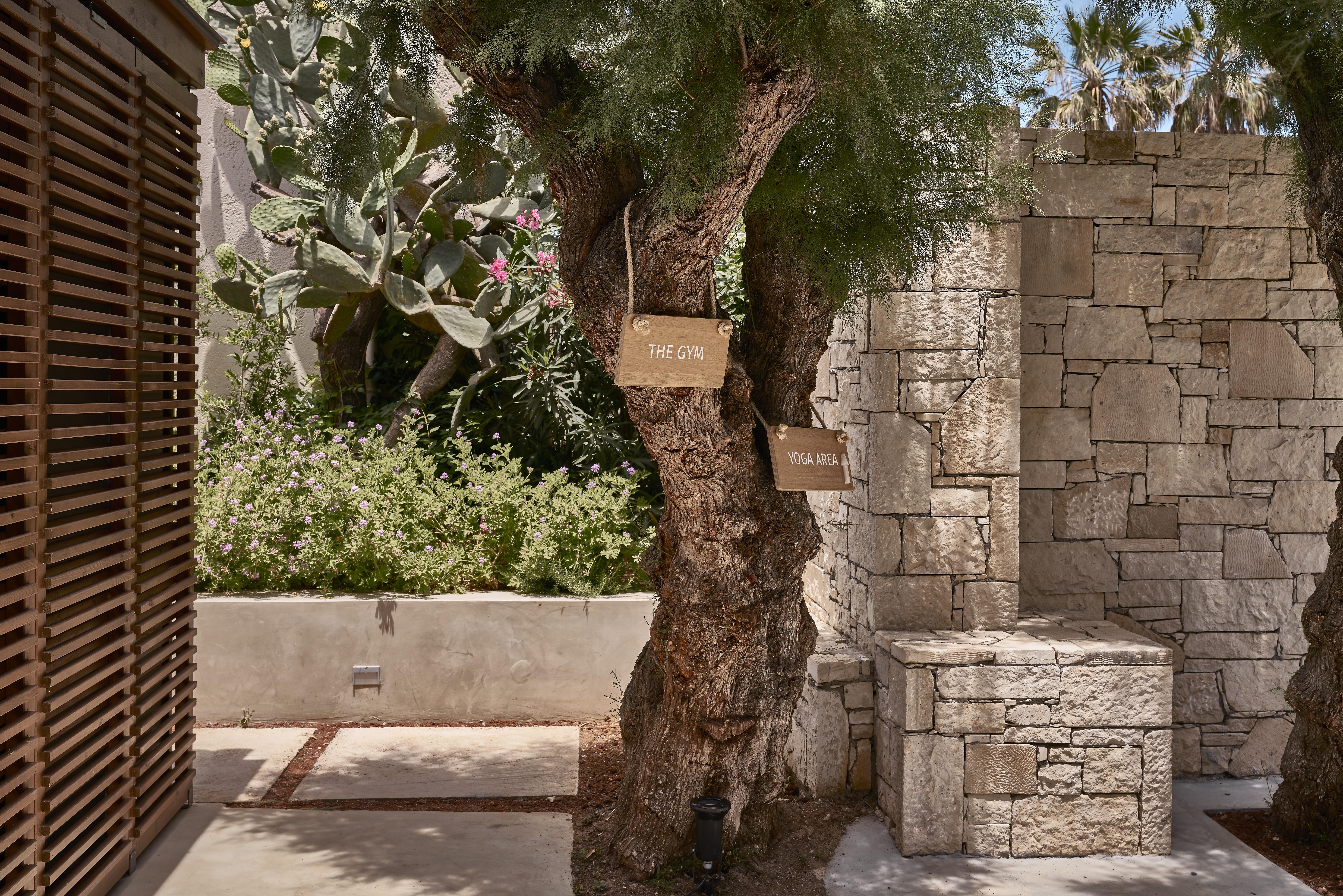 Phaea Cretan Malia, A Member Of Design Hotels Eksteriør bilde
