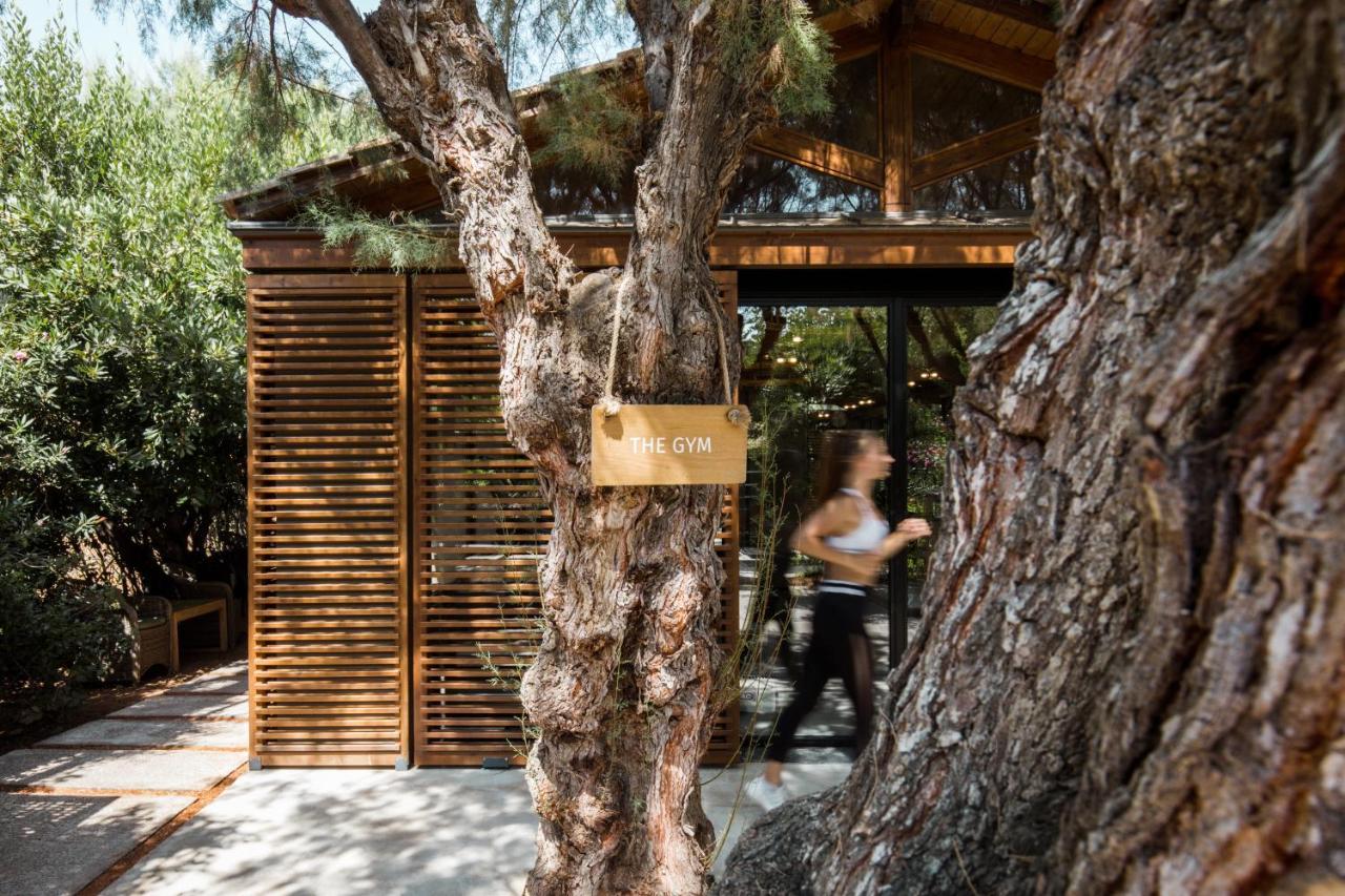 Cretan Malia Park A Member Of Design Hotels Eksteriør bilde